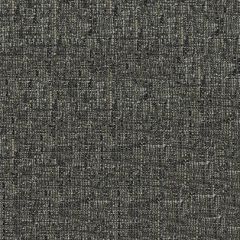 Endurepel Stature 9008 Charcoal Indoor Upholstery Fabric
