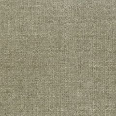 Endurepel Meditate 81 Putty Indoor Upholstery Fabric