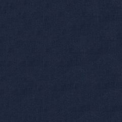 Endurepel Stride 308 Midnight Indoor Upholstery Fabric