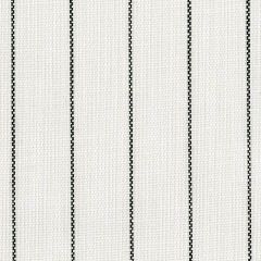 Perennials Rough Outline Blanca 875-28 The Usual Suspects Collection Upholstery Fabric