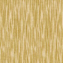 Robert Allen Akana Weave Lemongrass 232635 Color Library Collection Indoor Upholstery Fabric