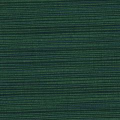 Perennials Snazzy Emerald 675-347 The Usual Suspects Collection Upholstery Fabric