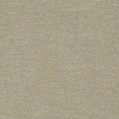Robert Allen Boucle Glam Sterling 260520 Boucle Textures Collection Indoor Upholstery Fabric
