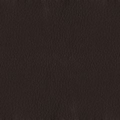 ABBEYSHEA Turner 8020 Chocolate Indoor Upholstery Fabric