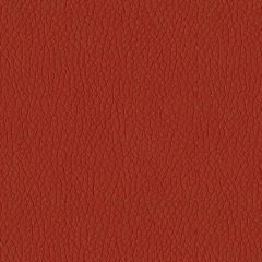 ABBEYSHEA Premier 14 Rust Indoor Upholstery Fabric
