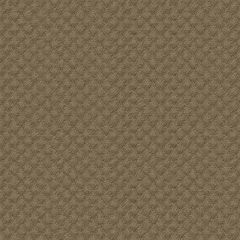Kravet Sunbrella Brown 25807-106 Guaranteed in Stock Upholstery Fabric