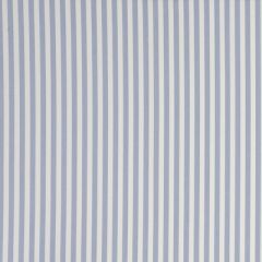 Clarke And Clarke Party Stripe Chambray F0841-01 Garden Party Collection Multipurpose Fabric
