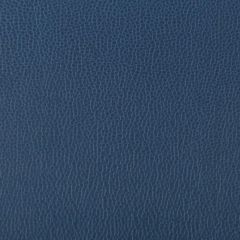 Kravet Contract Lenox Blueberry 50 Indoor Upholstery Fabric