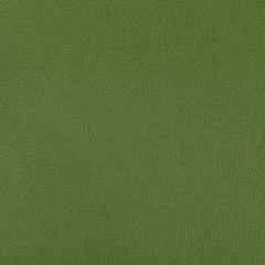 Kravet Contract Syrus Bonsai 303 Indoor Upholstery Fabric