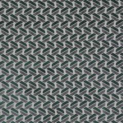 Gaston Y Daniela Juanin Verde / Gris LCT4454-2 Lorenzo Castillo Collection Indoor Upholstery Fabric