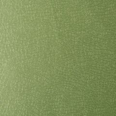 Kravet Contract Barracuda Limelight 23 Sta-Kleen Collection Indoor Upholstery Fabric