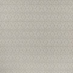 Clarke and Clarke Hampstead Charcoal F1005-02 Multipurpose Fabric