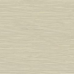 Kravet Light as Air Grey Mist 3657-1121 Modern Luxe II Collection Drapery Fabric