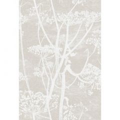 Cole And Son Cow Parsley White / Taupe F111/5019 Contemporary Fabrics Collection Multipurpose Fabric