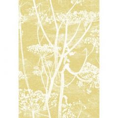 Cole And Son Cow Parsley White & Chartreuse F111/5020 Contemporary Fabrics Collection Multipurpose Fabric