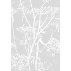 Cole And Son Cow Parsley Soft Grey F111/5021 Contemporary Fabrics Collection Multipurpose Fabric