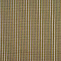 Robert Allen Contract Sunset Strip Seagrass 140623 Indoor Upholstery Fabric
