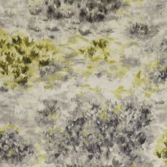 Clarke And Clarke Fiore Charcoal-Chartreuse F1298-01 Exotica Collection Multipurpose Fabric