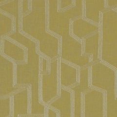 Clarke And Clarke Labyrinth Citron F1300-02 Exotica Collection Drapery Fabric
