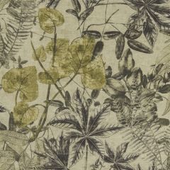 Clarke And Clarke Madagascar Charcoal-Charteuse F1301-01 Exotica Collection Multipurpose Fabric