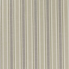 Clarke And Clarke Mappleton Charcoal F1310-03 Bempton Collection Multipurpose Fabric