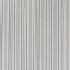 Clarke And Clarke Mappleton Mineral F1310-06 Bempton Collection Multipurpose Fabric