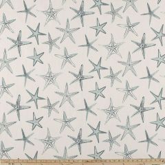Scott Living Starfish Harbor / Luxe Linen Luxury Resort Collection Multipurpose Fabric