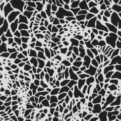 Duralee Black/White 71100-295 Black and White Prints and Wovens Collection Indoor Upholstery Fabric