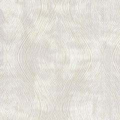 Clarke And Clarke Luster Ivory F1336-03 Diffusion Collection Indoor Upholstery Fabric