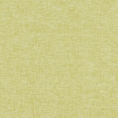 Clarke And Clarke Kelso Citrus F1345-08 Kelso Collection Indoor Upholstery Fabric