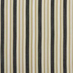 Clarke And Clarke Ziba Charcoal-Ochre F1352-02 Prince Of Persia Collection Multipurpose Fabric