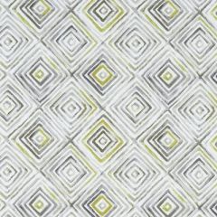 Clarke And Clarke Otis Chartreuse-Charcoal F1359-01 Palmero Collection Multipurpose Fabric