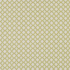 Clarke And Clarke Ariyana Chartreuse F1364-03 Prince Of Persia Collection Multipurpose Fabric