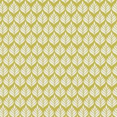 Clarke And Clarke Elise Citrus F1372-03 Co-Ordinates Collection Indoor Upholstery Fabric