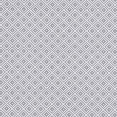 Clarke And Clarke Kiki Smoke F1374-06 Co-Ordinates Collection Indoor Upholstery Fabric