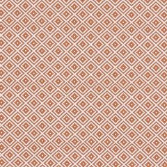 Clarke And Clarke Kiki Spice F1374-07 Co-Ordinates Collection Indoor Upholstery Fabric