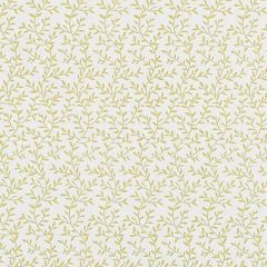 Clarke And Clarke Lila Citrus F1375-03 Co-Ordinates Collection Indoor Upholstery Fabric