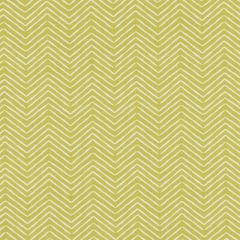 Clarke And Clarke Pica Citrus F1378-03 Co-Ordinates Collection Indoor Upholstery Fabric