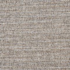 Clarke And Clarke Pierre Charcoal F1389-03 Mode Collection Indoor Upholstery Fabric