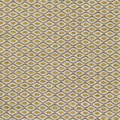 Robert Allen Little Spaces-Citron 214723 Decor Upholstery Fabric