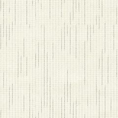 Kravet Basics White 3698-1 Guaranteed in Stock Drapery Fabric