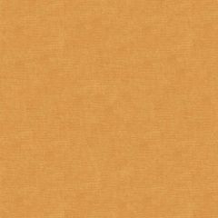 Kravet Design Orange 33125-4 Indoor Upholstery Fabric