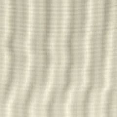 Clarke and Clarke Windsor Linen F1505-5 Clarke and Clarke Edgeworth Collection Indoor Upholstery Fabric