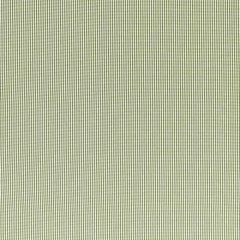 Clarke and Clarke Windsor Sage F1505-10 Edgeworth Collection Indoor Upholstery Fabric