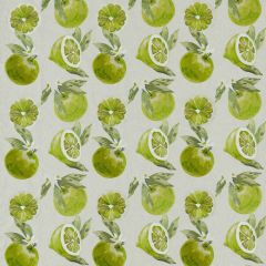 Clarke and Clarke Agrias Lime F1506-2 Pomarium Collection Drapery Fabric