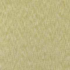 Clarke and Clarke Avani Chartreuse F1527-3 Clarke and Clarke Eco Collection Indoor Upholstery Fabric