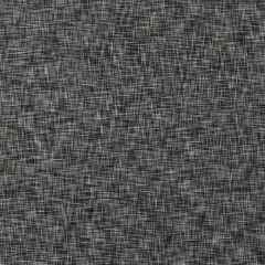 Clarke and Clarke Gaia Charcoal F1528-3 Clarke and Clarke Eco Collection Indoor Upholstery Fabric