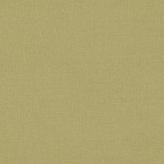 Clarke and Clarke Lazio Antique F1537-1 Clarke and Clarke Lazio Collection Indoor Upholstery Fabric