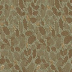 Kravet Contract Branch Out Opal 32250-135 Indoor Upholstery Fabric