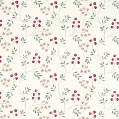Clarke and Clarke Rochelle Blush/Raspberry F1556-2 Clarke and Clarke Pavilion Collection Drapery Fabric